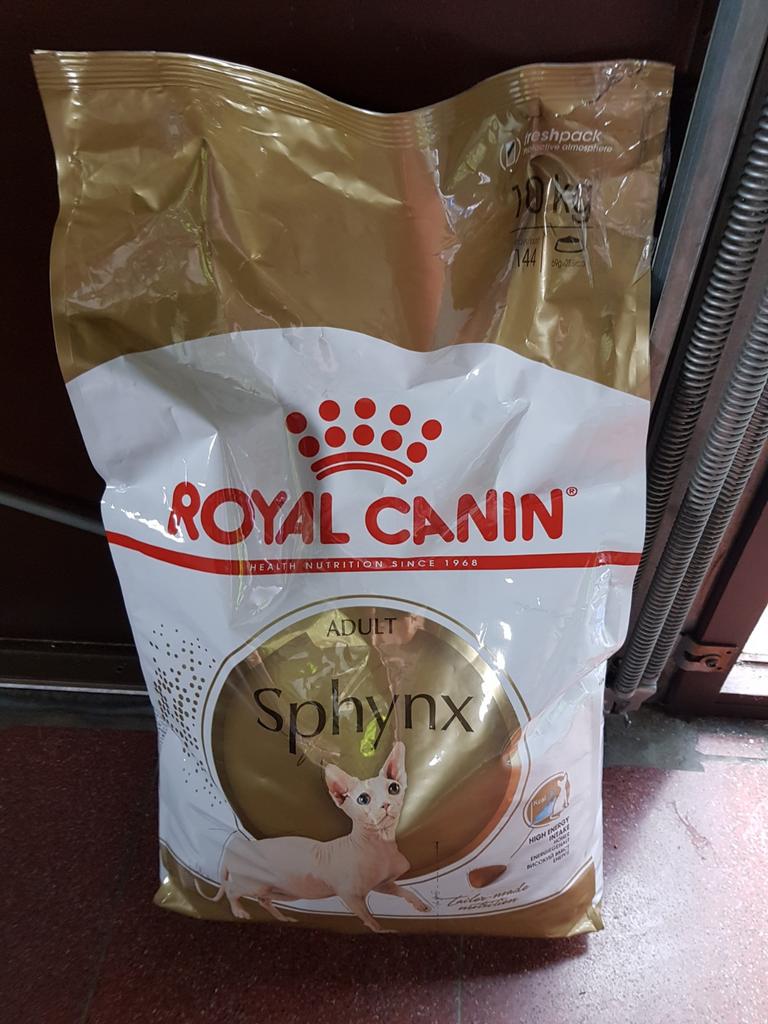 Katten - naaktkatteneten ROYAL CANIN SPHYNX  HIGH ENERGY, Ophalen