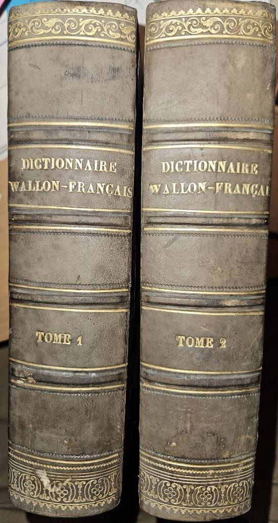 Dictionnaire Wallon-Français, Livres, Dictionnaires, Utilisé, Français, Autres éditeurs, Enlèvement ou Envoi