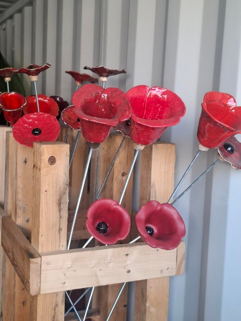 De véritables coquelicots à bordure végétale en céramique !, Enlèvement, Comme neuf