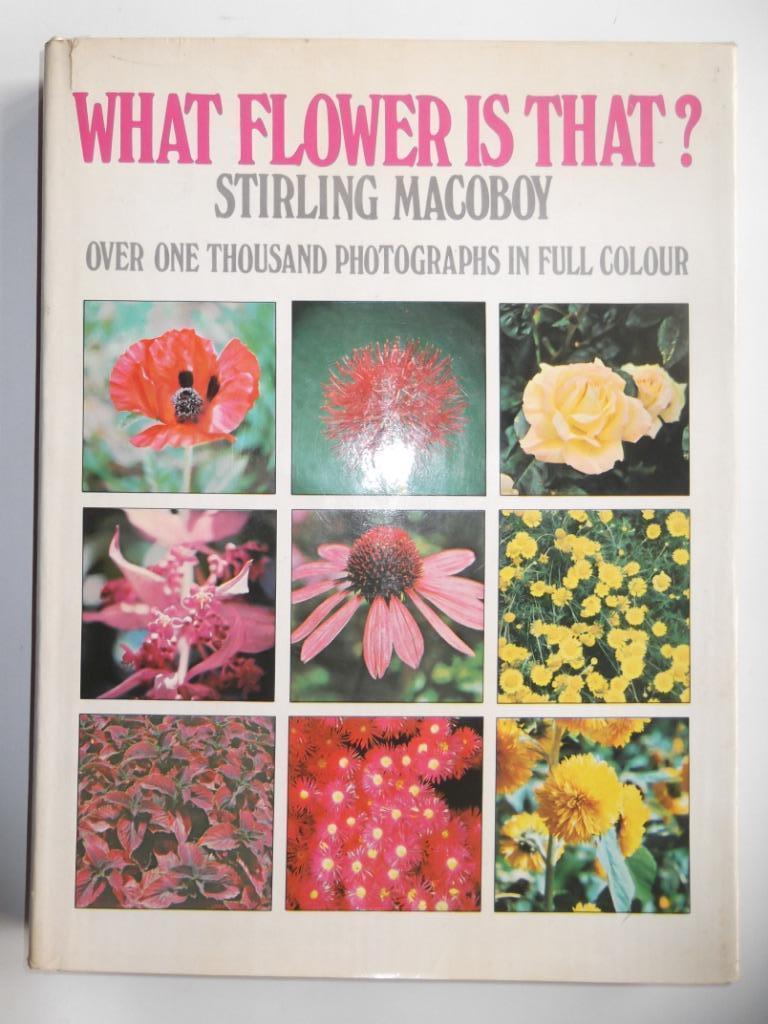 What flower is that?, Ophalen of Verzenden