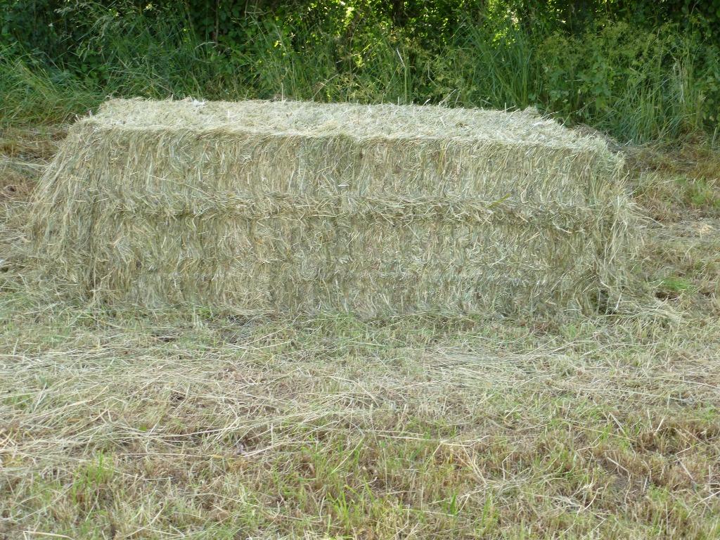 FOIN et PREFANE BIO 2025 top qualité, Zakelijke goederen, Landbouw | Veevoer, Ophalen