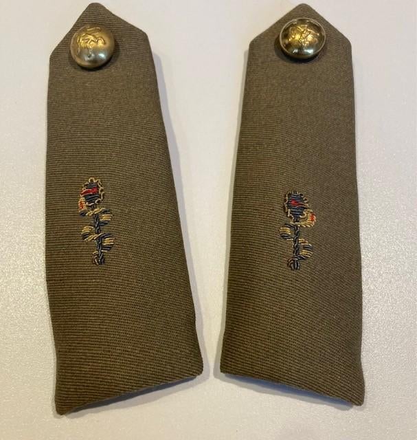 épaulettes, tenue de service, Service médical, Collections, Enlèvement ou Envoi, Armée de terre, Emblème ou Badge