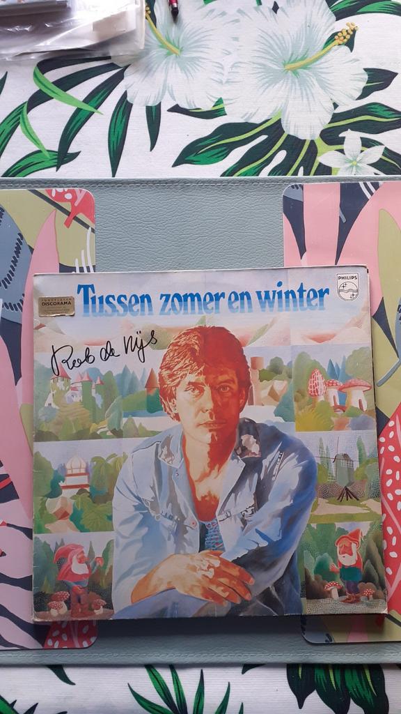 LP Rob de Nijs - Tussen zomer en winter, Ophalen of Verzenden, Gebruikt, 12 inch, Levenslied of Smartlap