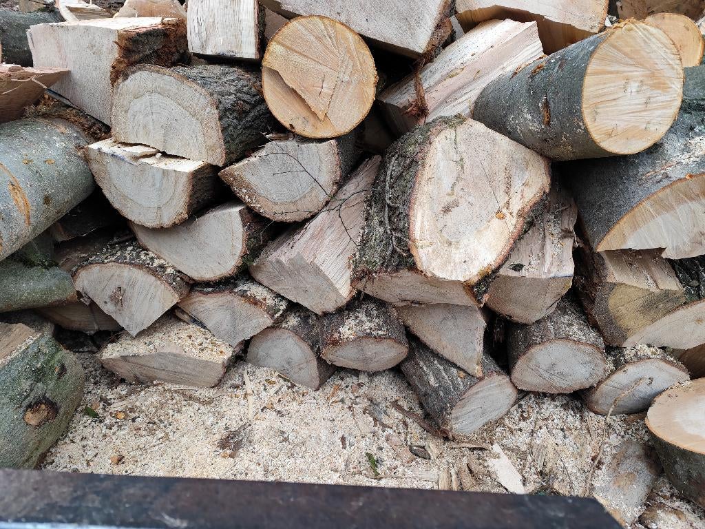 brandhout Eik& Beuk, 6 m³ of meer, Verzenden, Beukenhout, Blokken