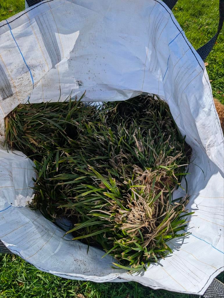 siergrassen in big bag gratis af te halen ENKEL VANDAAG NOG, Ophalen