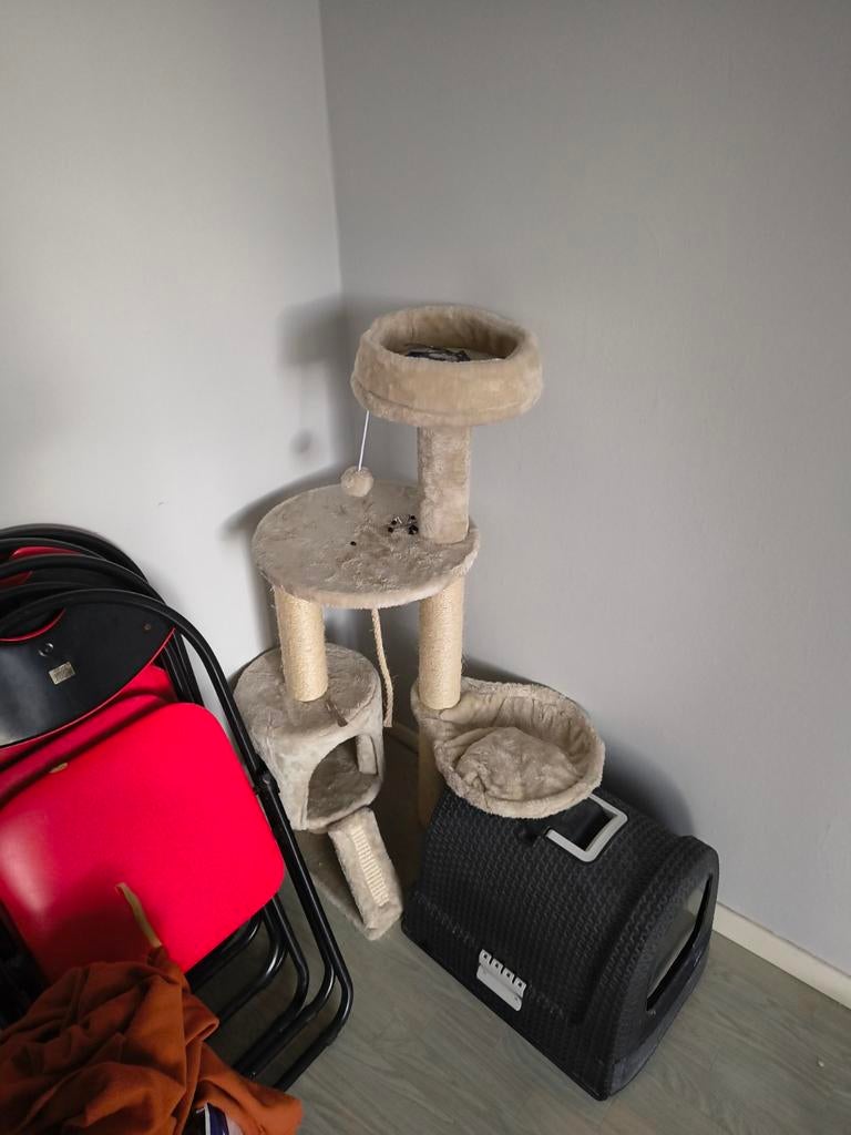 Katten paal, Dieren en Toebehoren, Ophalen