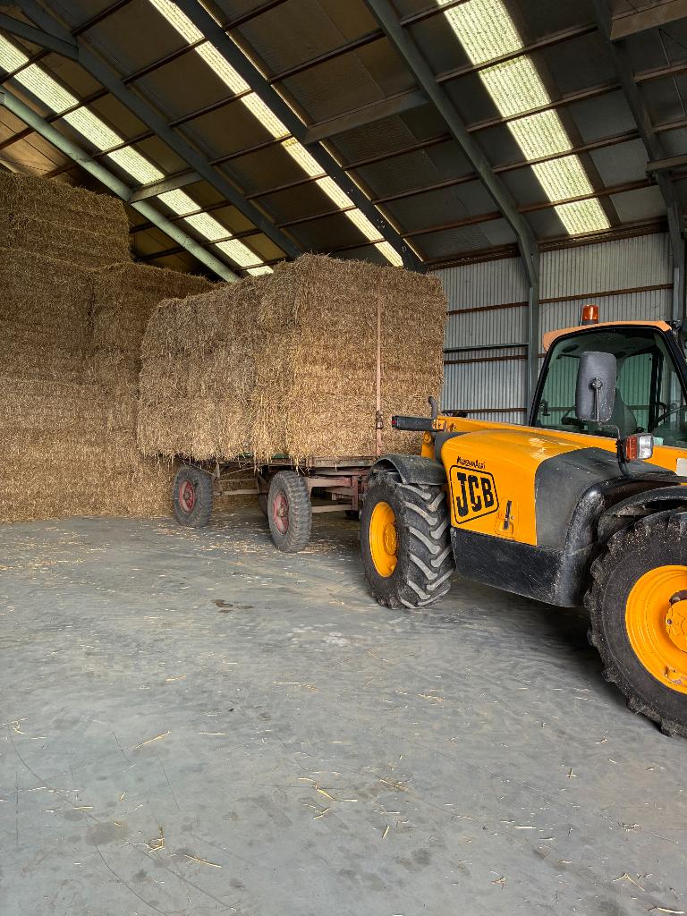 Stro, Dieren en Toebehoren, Dierenvoeding, Ophalen, Vee