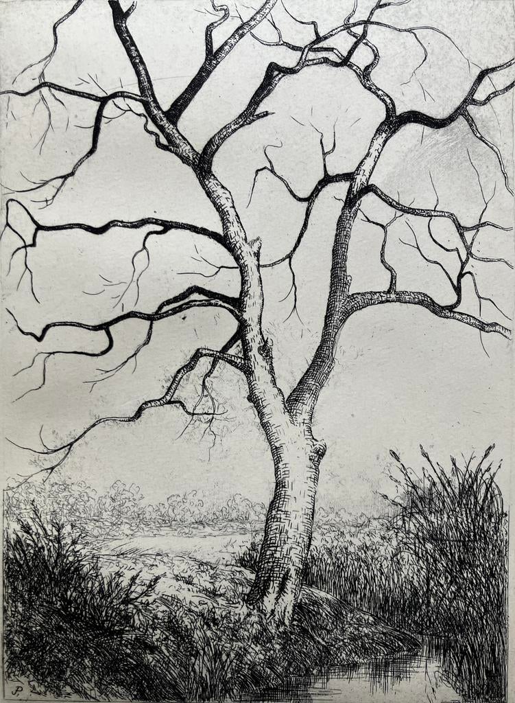 Ets Jozef Pas (1900-1984) In de Schorren, Ophalen