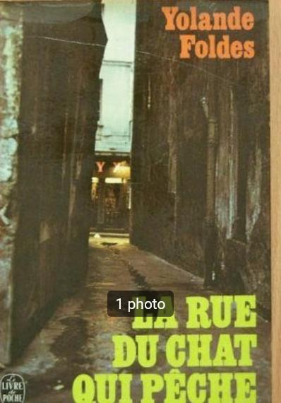 „De straat van de vissende kat” Yolande Foldes (1937), Gelezen, Europa overig, Ophalen of Verzenden, Yolande Foldes