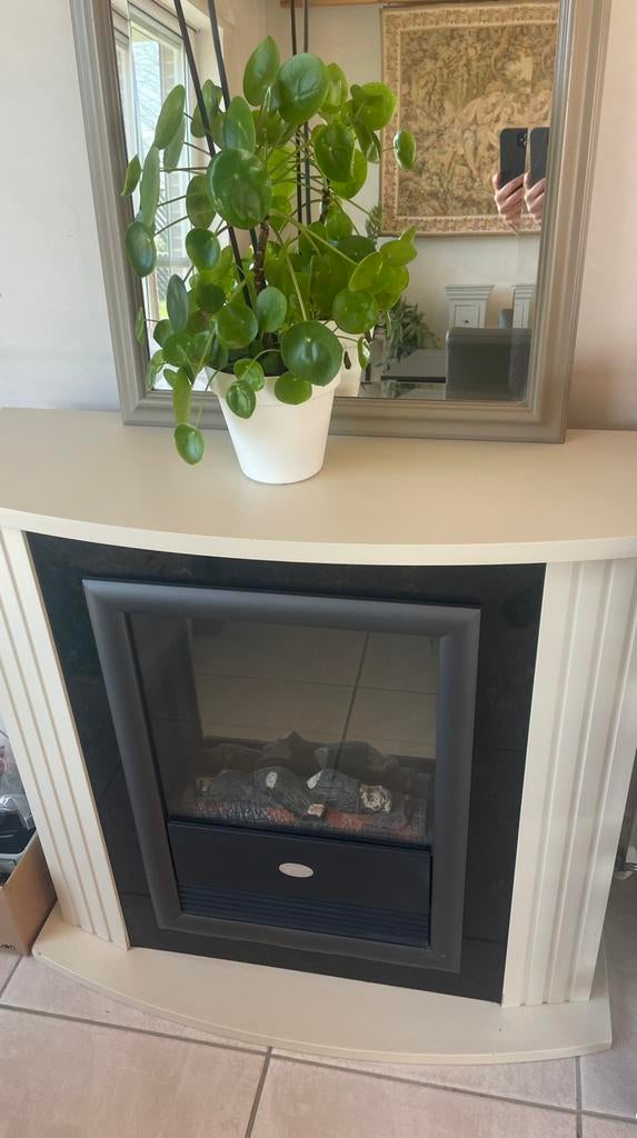 Elektrische openhaard, Huis en Inrichting, Haarden, Ophalen, Zo goed als nieuw