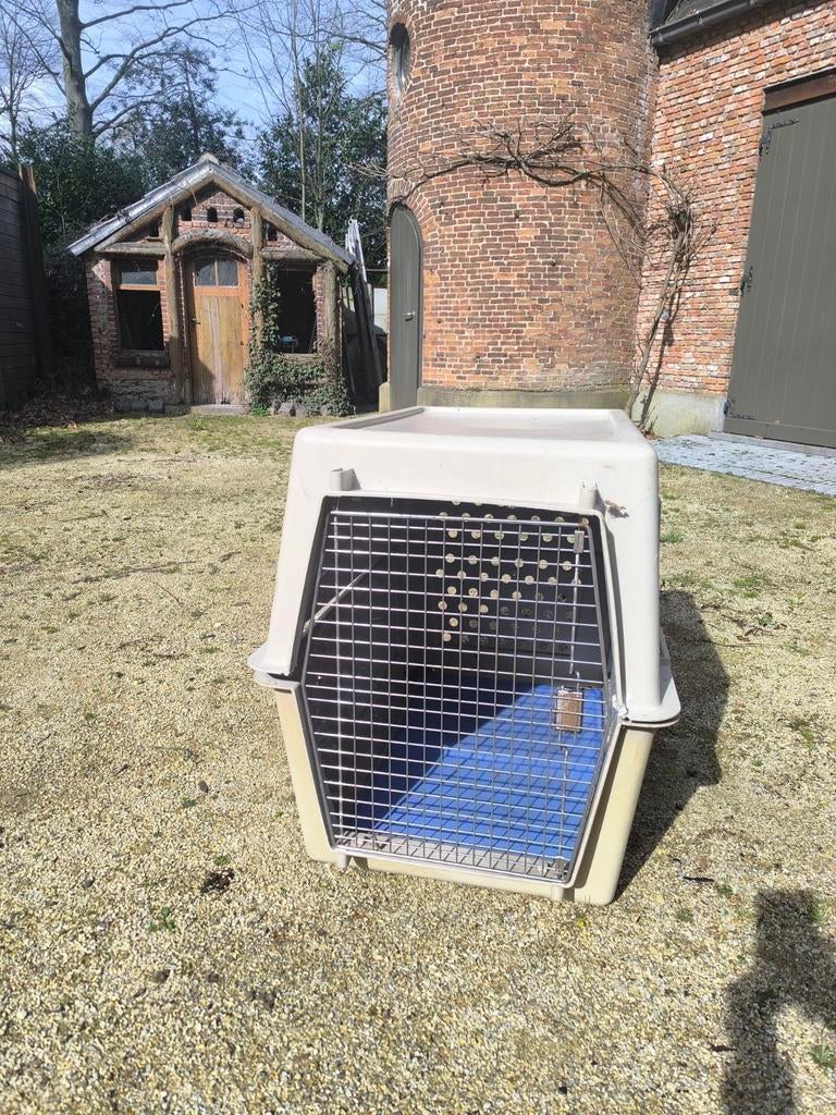 Reisbench hond n, Dieren en Toebehoren, Ophalen