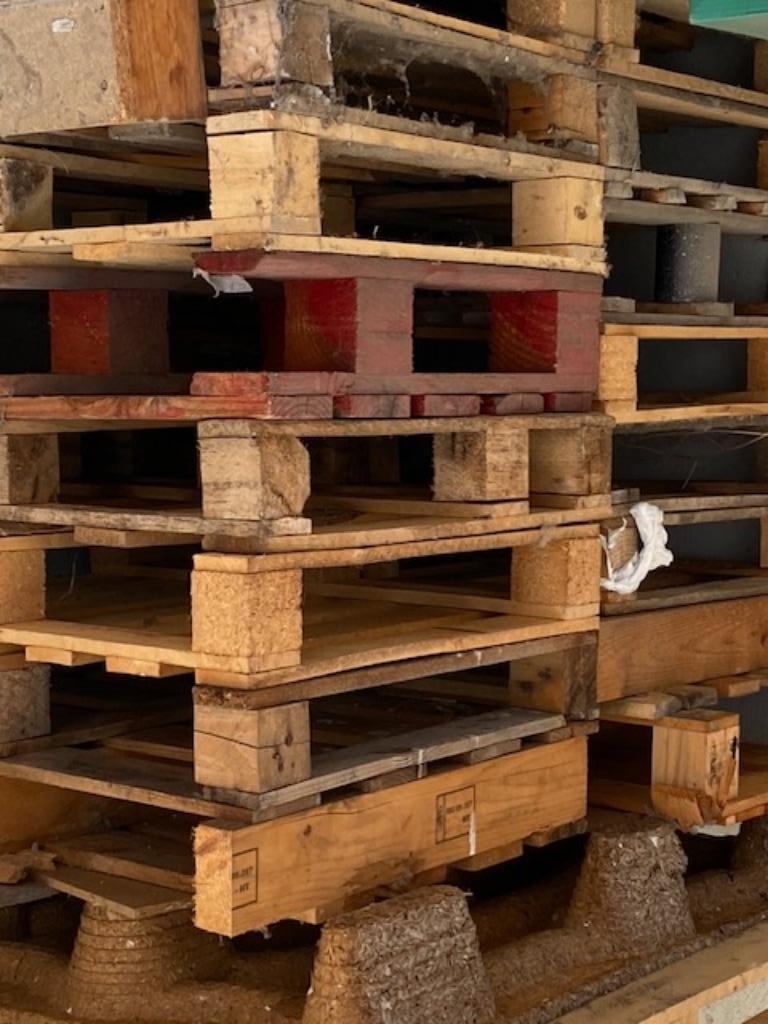 brandhout   GRATIS, 3 à 6 m³, Enlèvement, Autres essences de bois