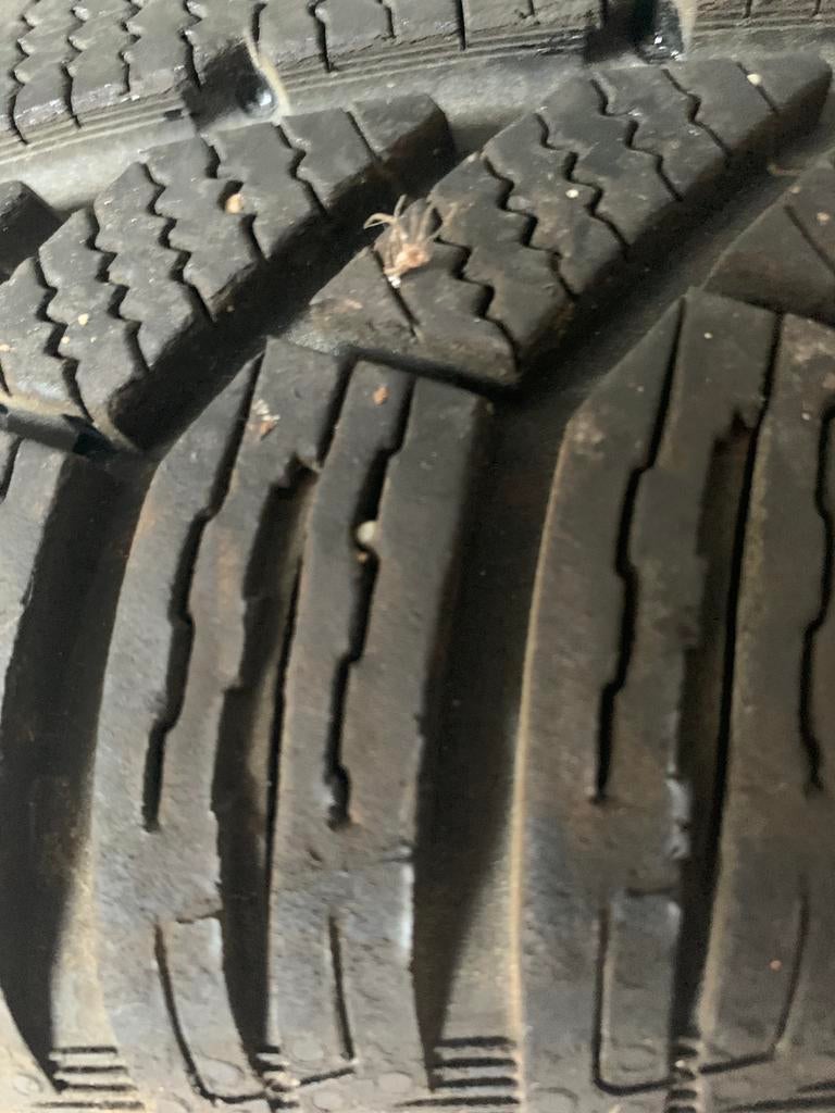 Jantes BMX, Autos : Pièces & Accessoires, Pneus & Jantes, Pneus hiver, 16 pouces, Véhicule de tourisme, 205 mm