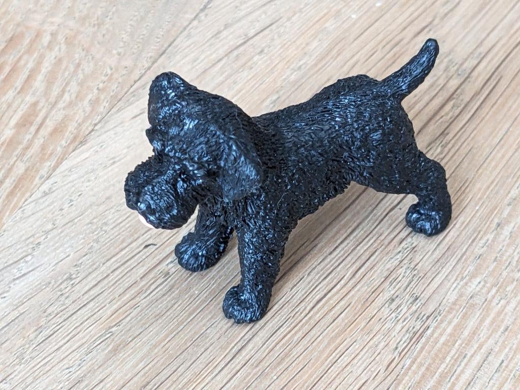 Chien Schleich, Enlèvement