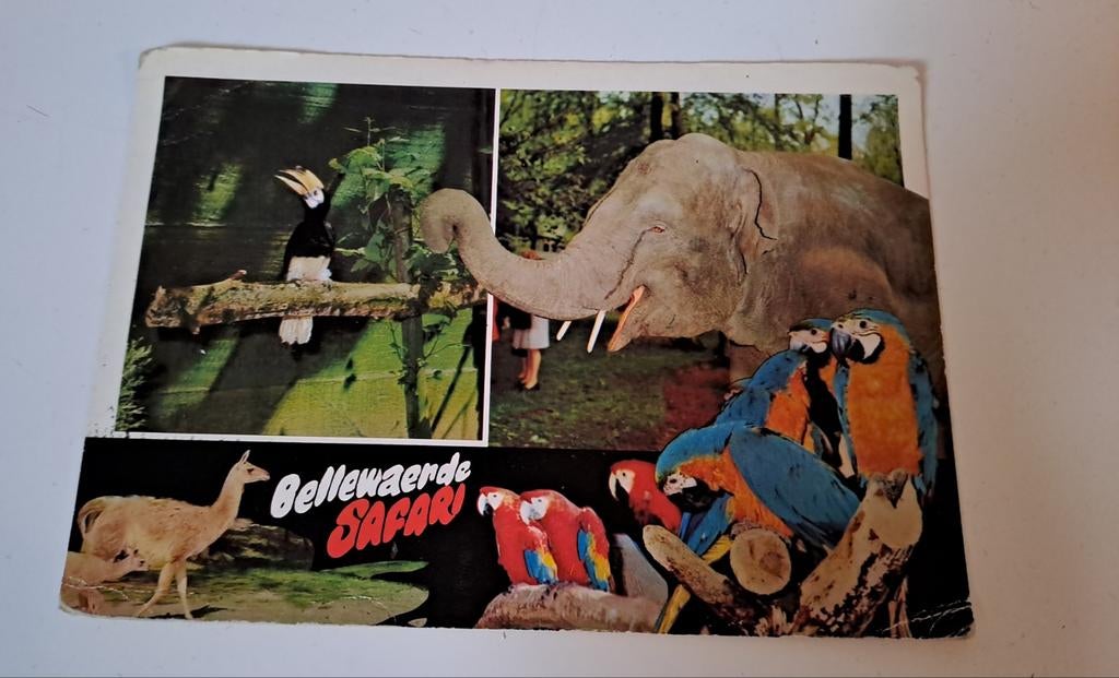 Bellewaerde postkaart, Collections, Enlèvement