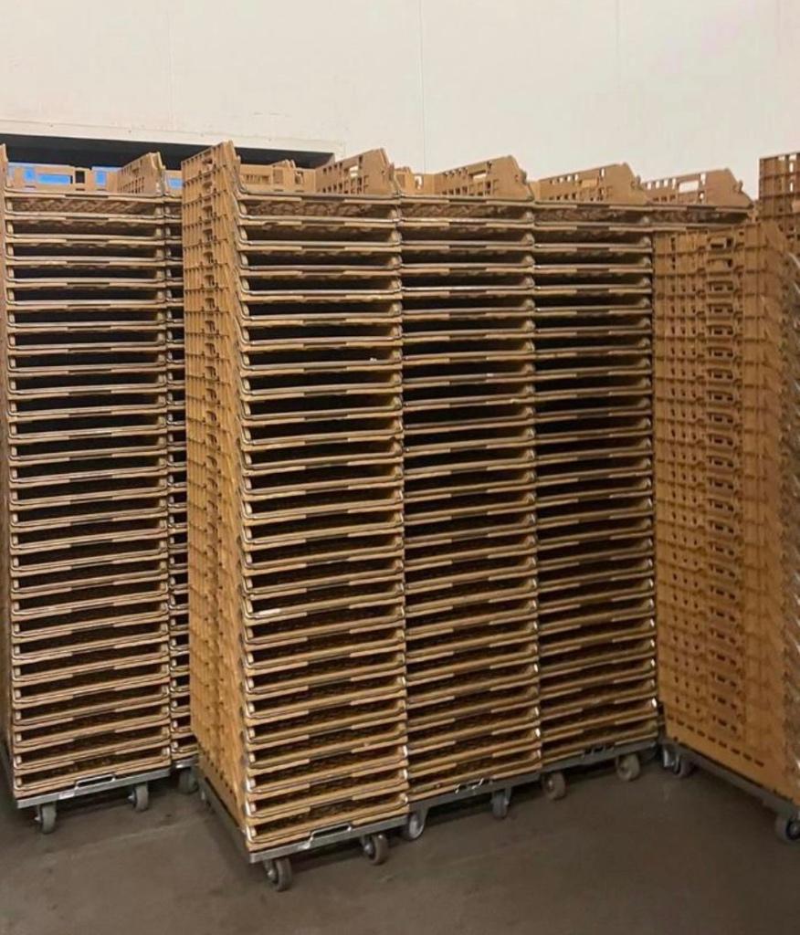 Brobankratten/broodkratten/dolly’s, Ophalen of Verzenden