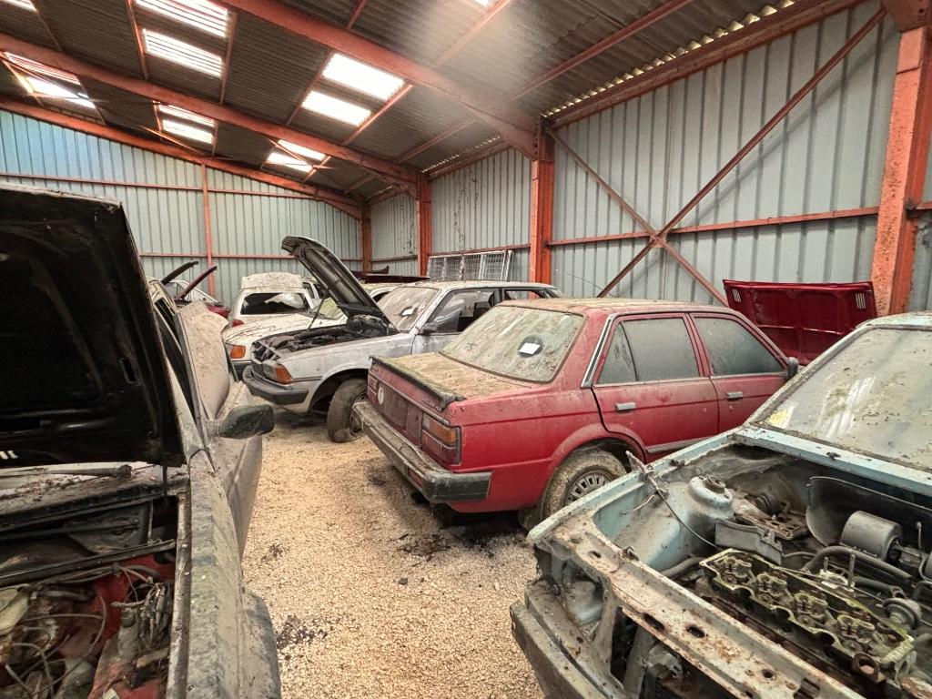 Triumph Acclaim HLS, Enlèvement, Triumph