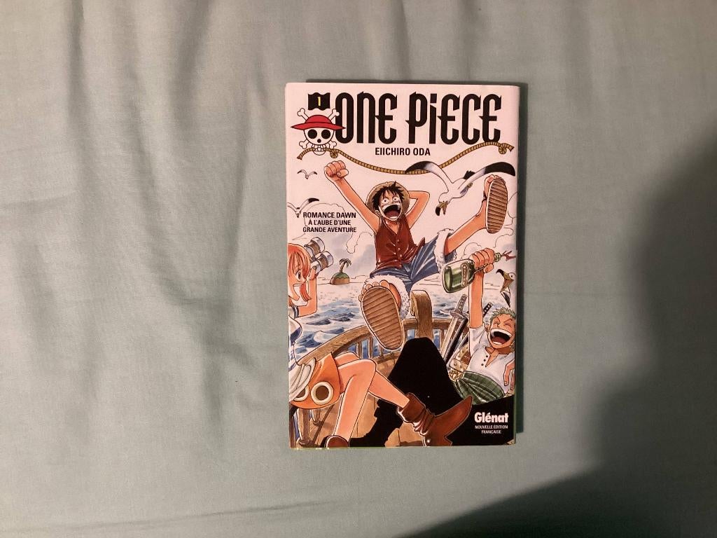 One Piece (1-20 + 100), Livres, Eiichiro Oda, Enlèvement ou Envoi, Comme neuf, Plusieurs comics