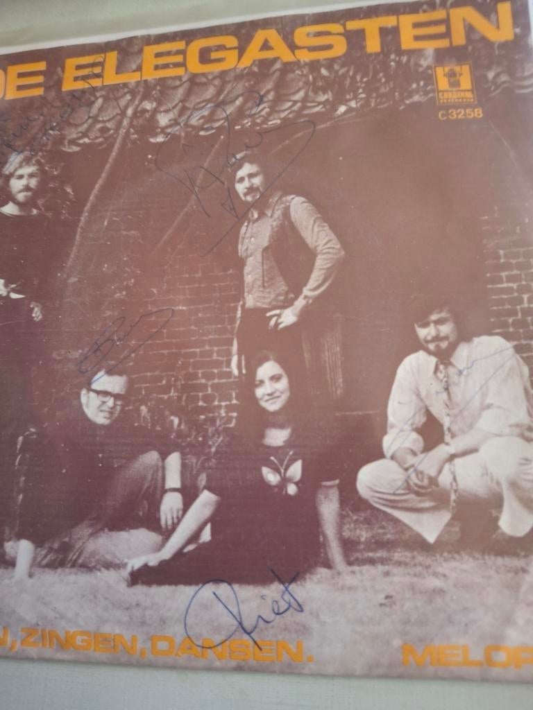 Elegasten, Cd's en Dvd's, Vinyl | Nederlandstalig, Ophalen of Verzenden, Zo goed als nieuw