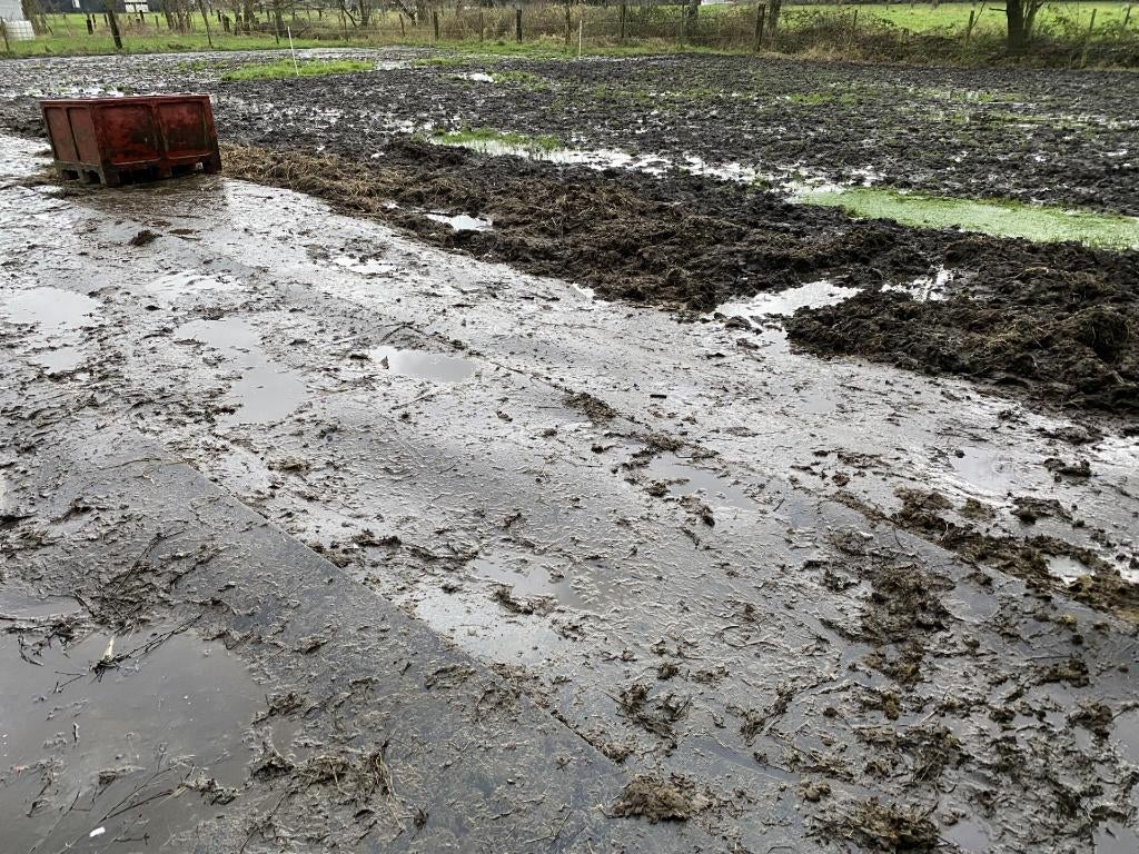 slijk beu/rubbermatten leggen, Pâturage