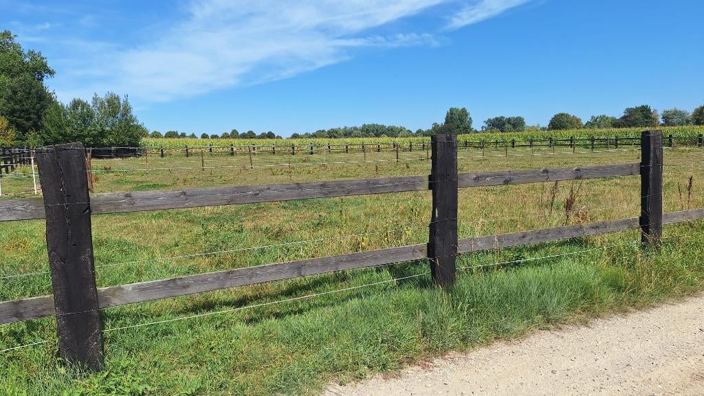 weiland, Immo, Gronden en Bouwgronden, 3590 Diepenbeek, Verkoop zonder makelaar, Tot 200 m²