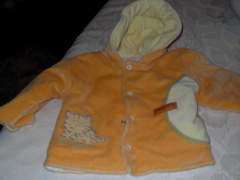 oranje vestje le chat 9 maand met kapje, Le chat, Enlèvement ou Envoi, Pull ou Veste, Utilisé