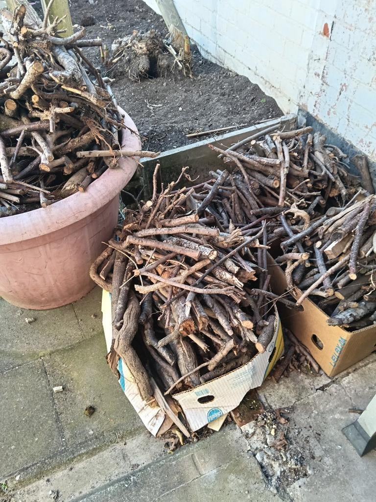 Aanmaak hout, Tuin en Terras, Brandhout, Ophalen, Takken