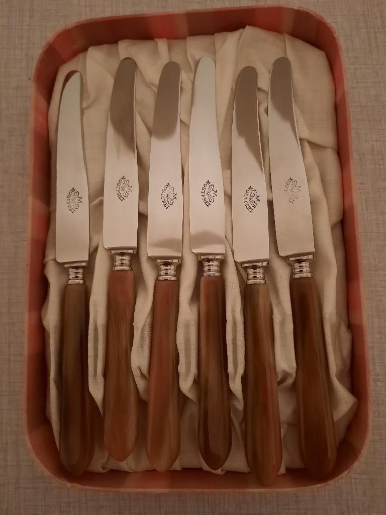 6 Couteaux à fruits 16,7cm inox corne de bœuf en Coffret, Antiquités & Art, Antiquités | Couverts, Enlèvement