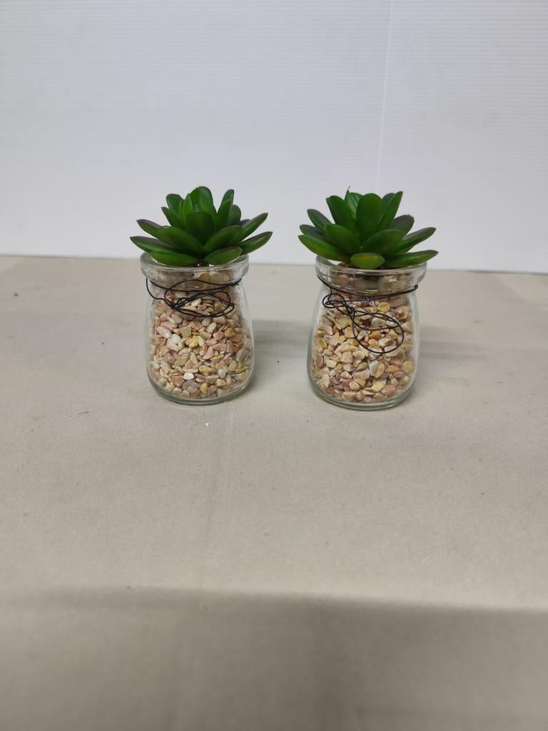 2 mini glazen potjes met kunst cactus. 2 stuks., Huis en Inrichting, Ophalen