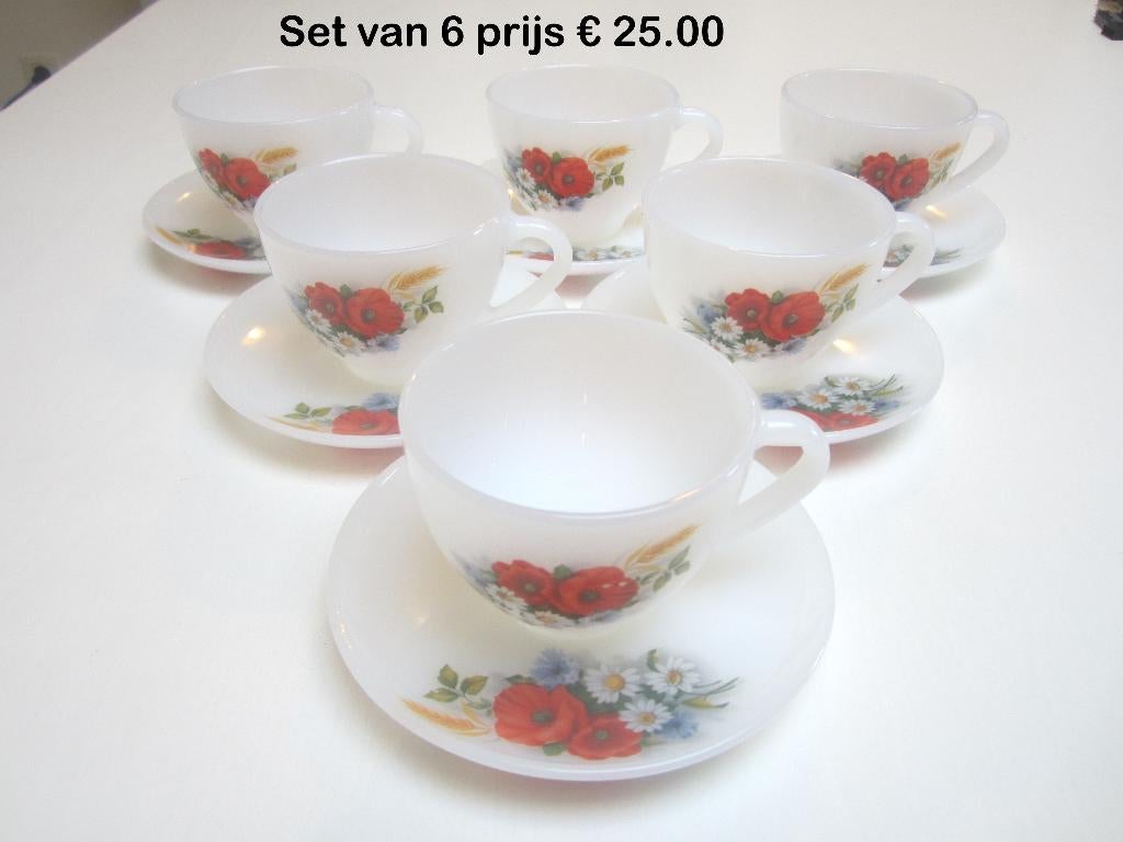 Arcopal Service, Enlèvement, Maison et Meubles