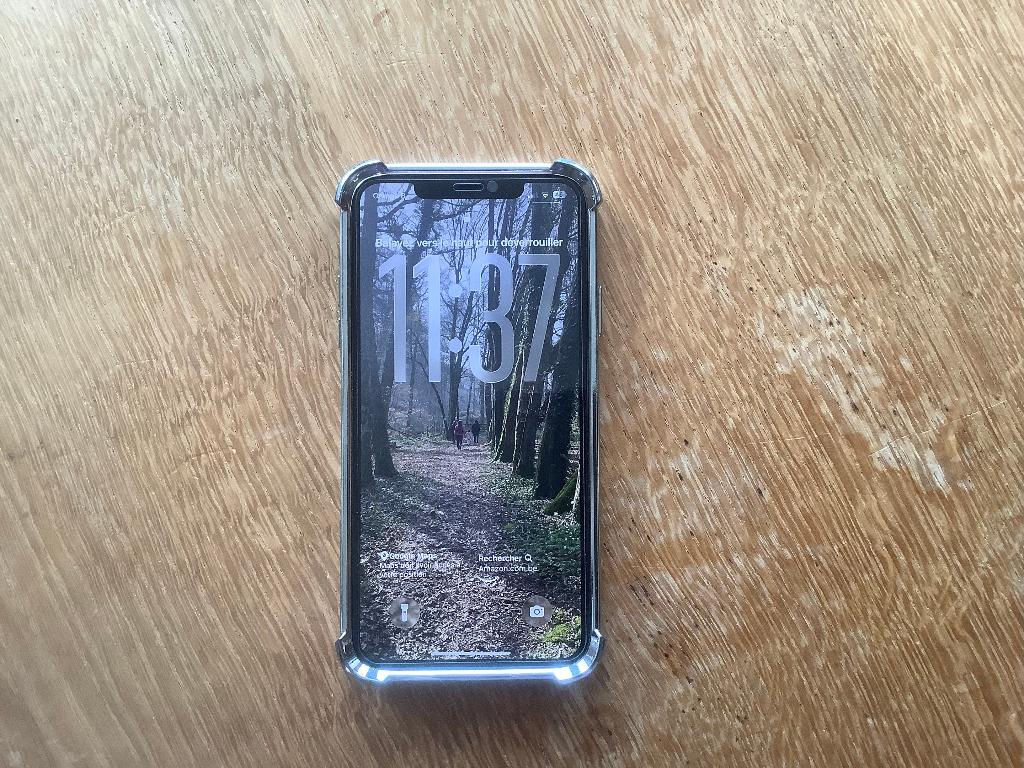 iPhone 11 Pro Max 256 Gb IOS 26.3, Télécoms, Téléphonie mobile | Apple iPhone, 256 GB, IPhone 11 Pro Max, Gris, Enlèvement ou Envoi