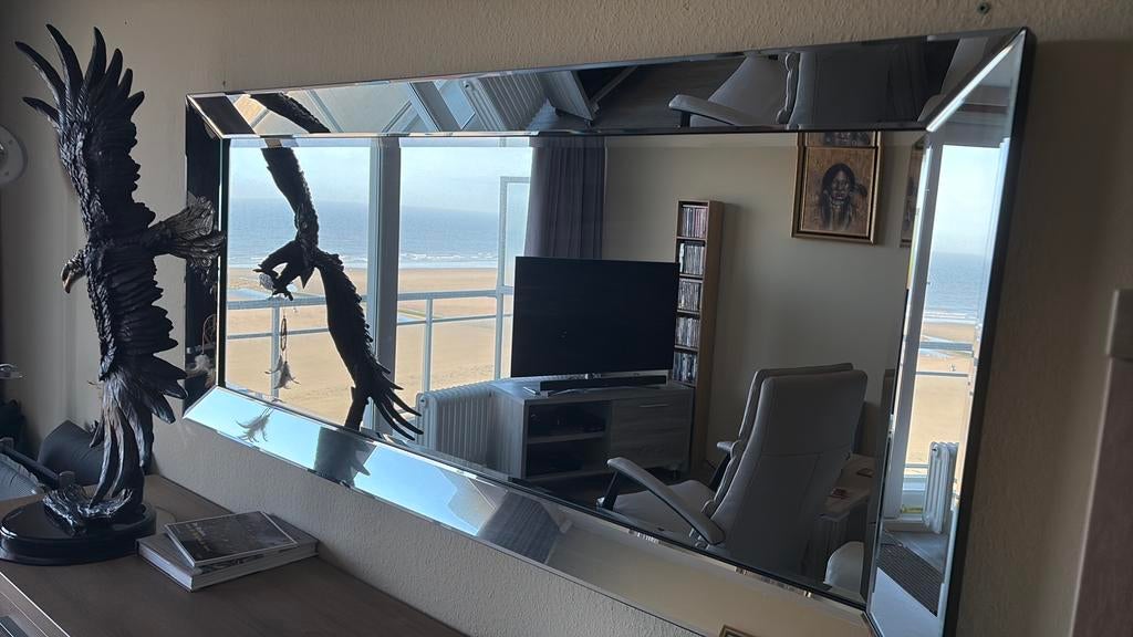 Grand miroir, 125 cm ou plus, Moins de 100 cm, Comme neuf, Enlèvement