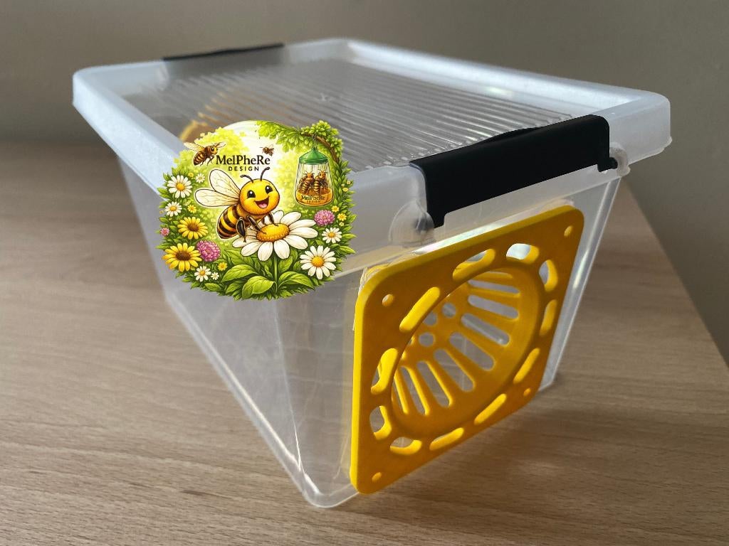 Piège à frelons asiatiques - grilles pour boîte Bee friendly, Animaux & Accessoires, Abeilles