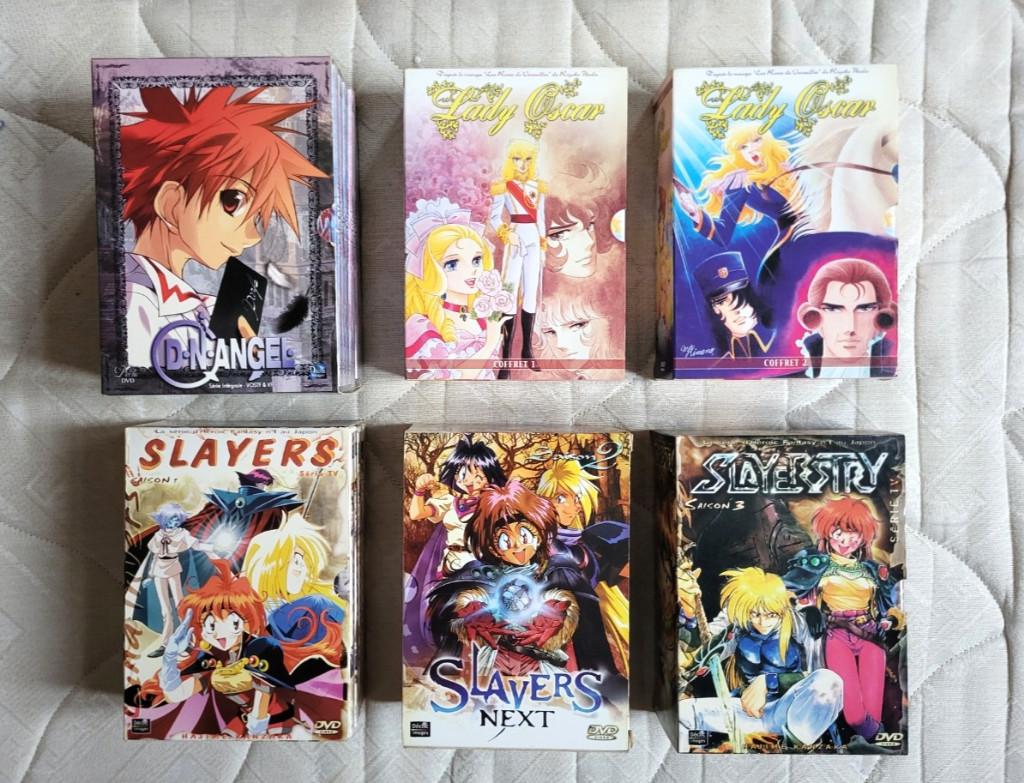 15 DVD Mangas Slayers, Enlèvement ou Envoi, Coffret, À partir de 9 ans, Utilisé