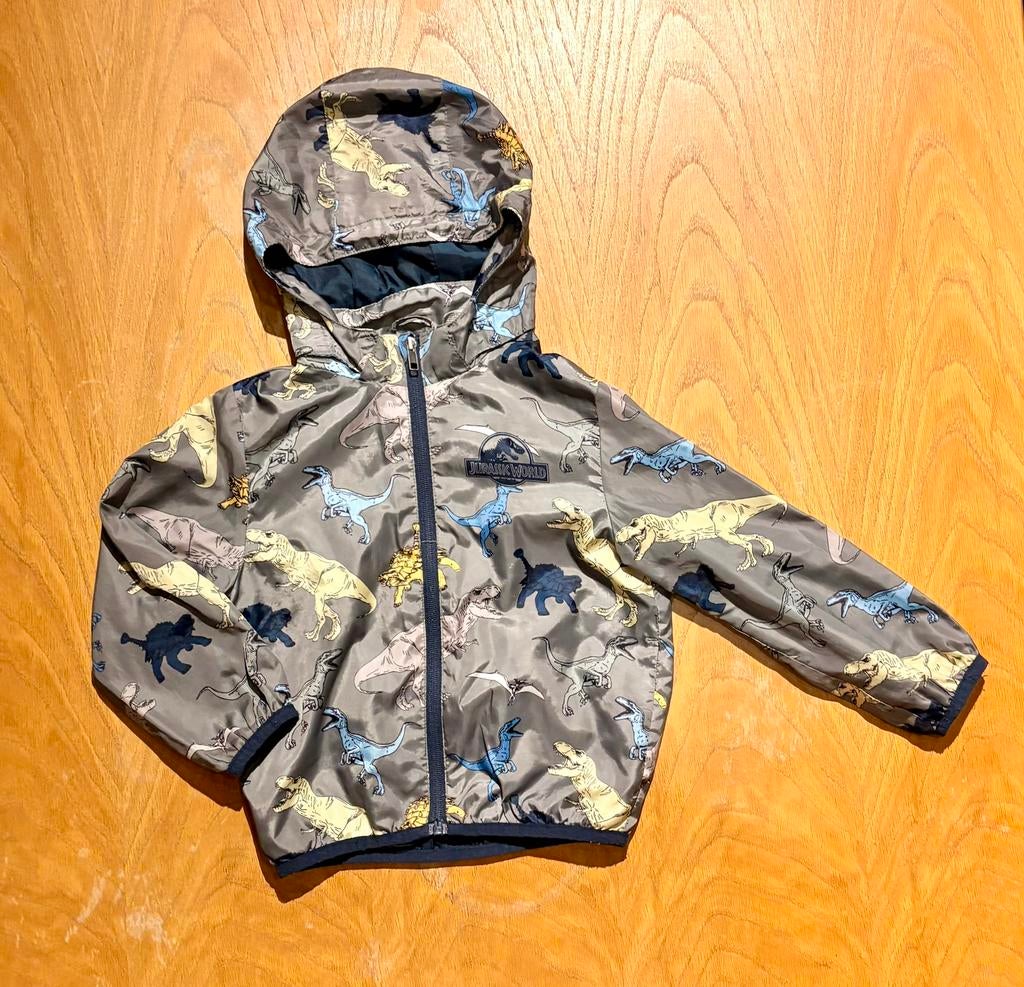 Veste H&M Jurassic World - Dinosaures, Enlèvement ou Envoi, Utilisé, Garçon, Pull ou Veste