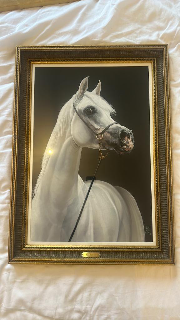 Arabier - Mahfouz, Ophalen