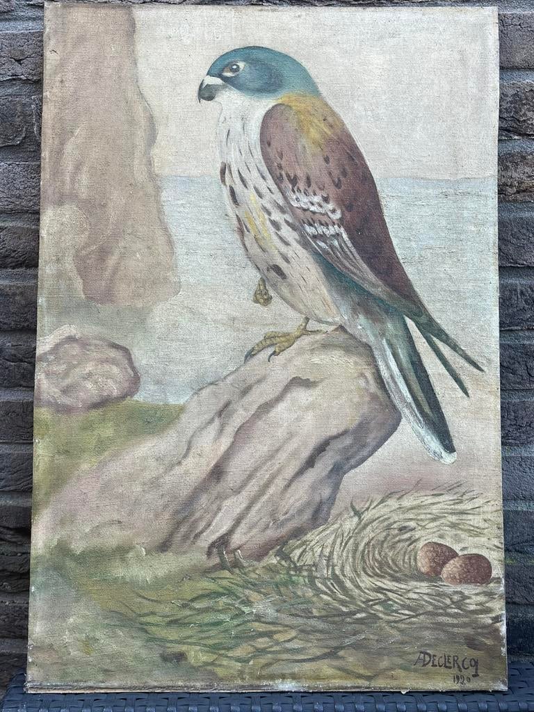 A. Declercq - Torenvalk - 1920 Schilderij, Ophalen of Verzenden