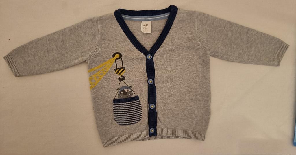 Gilet H&M (maat 9 maanden), Kinderen en Baby's, Babykleding | Maat 74, Truitje of Vestje, H&M, Ophalen of Verzenden, Zo goed als nieuw