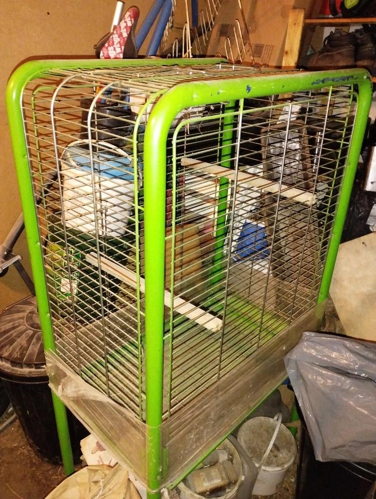 Papegaaien Kooi, Ophalen, Gebruikt, Vogelkooi