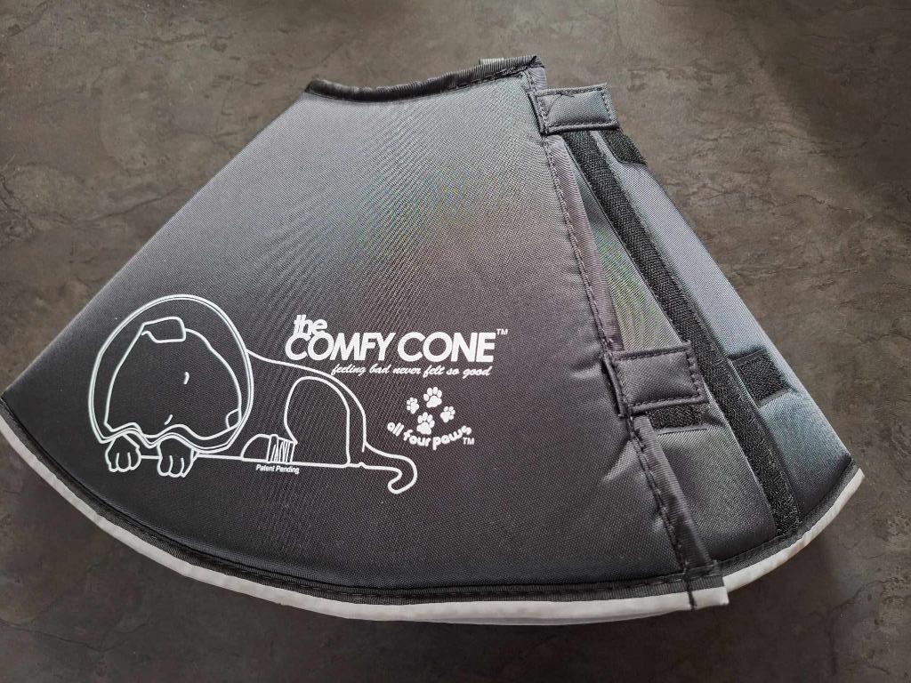 casquette pour chien, Animaux & Accessoires, Enlèvement ou Envoi, Neuf