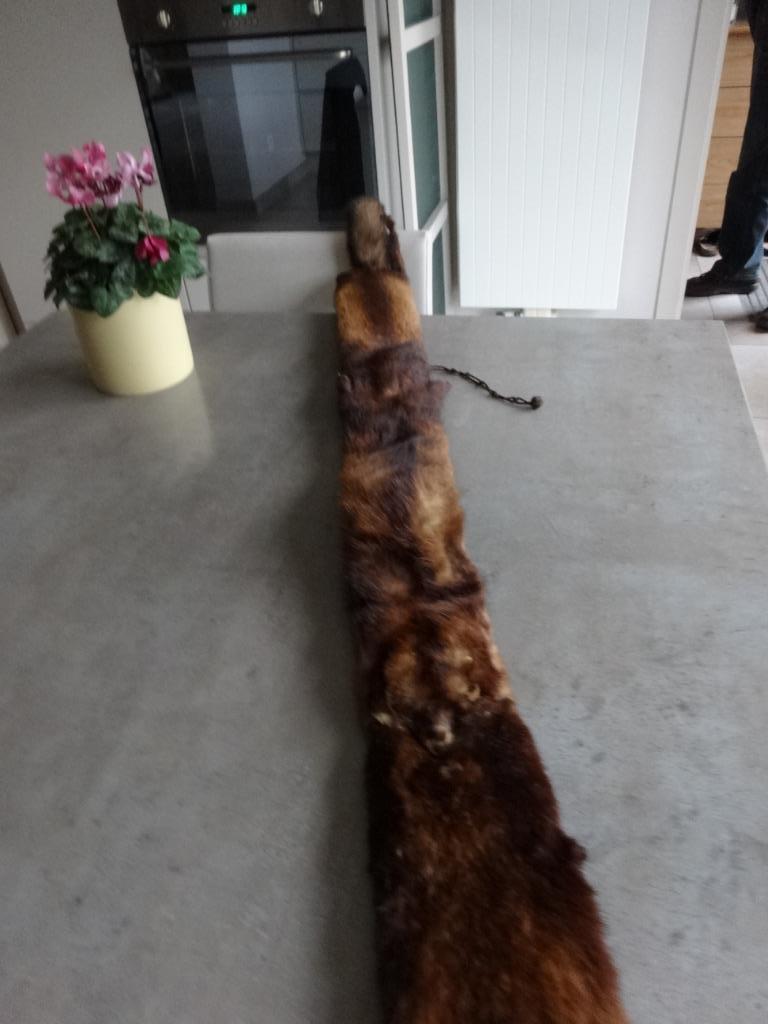 Etole en fourrure ancienne, Enlèvement ou Envoi, Femmes