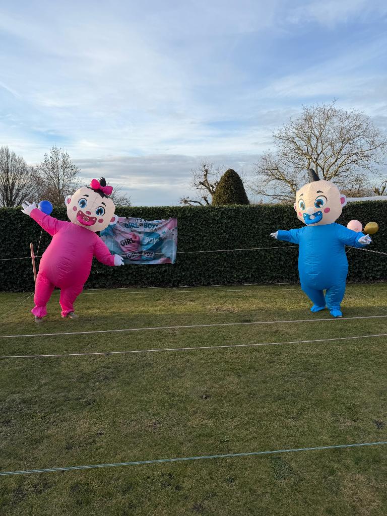 Gender reveal mascottes kostuum, Ophalen, Nieuw, Kostuum
