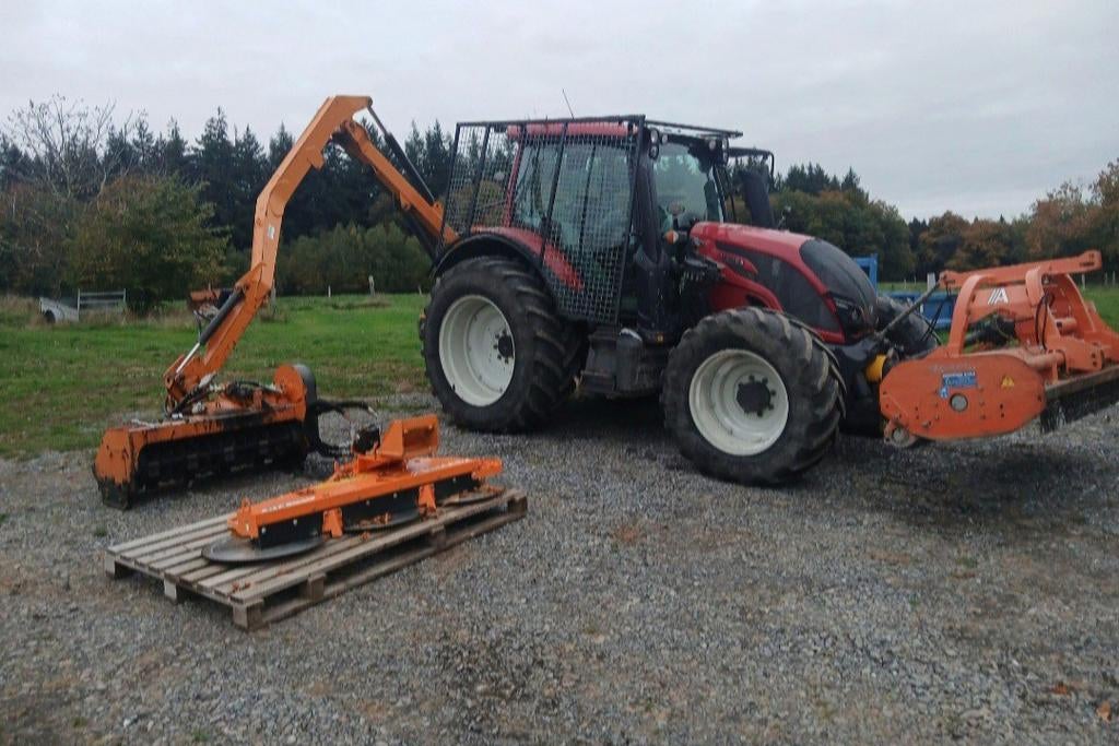 Entretien et rabattage de haies