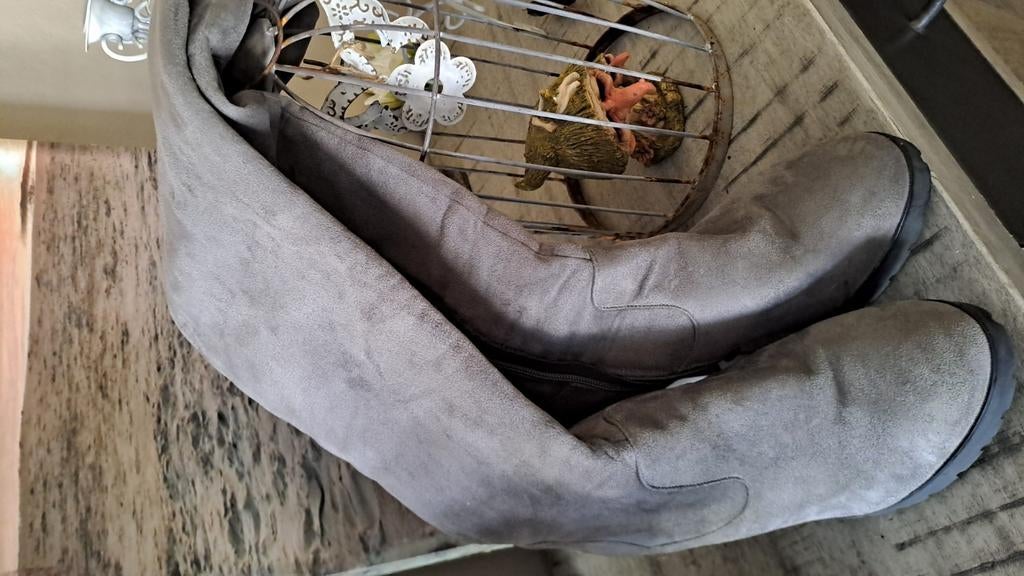 Bottes cuissardes couleur grises point 41 10e  casi neuves, Vêtements | Femmes, Chaussures, Enlèvement ou Envoi, Comme neuf