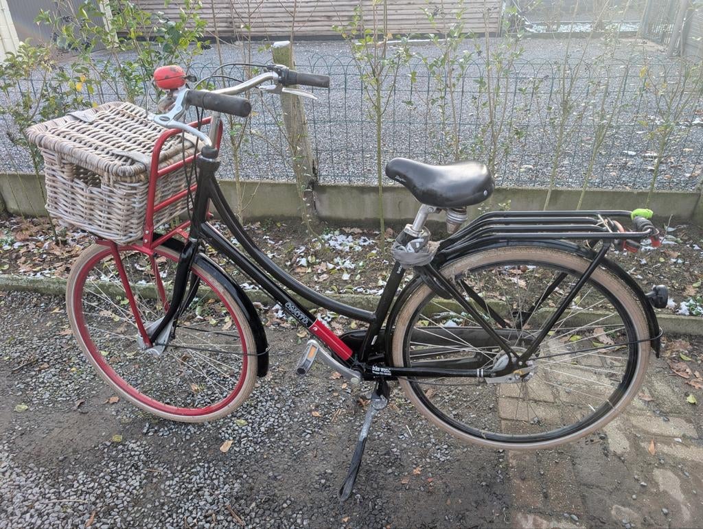 Fiets met mand te koop, Enlèvement