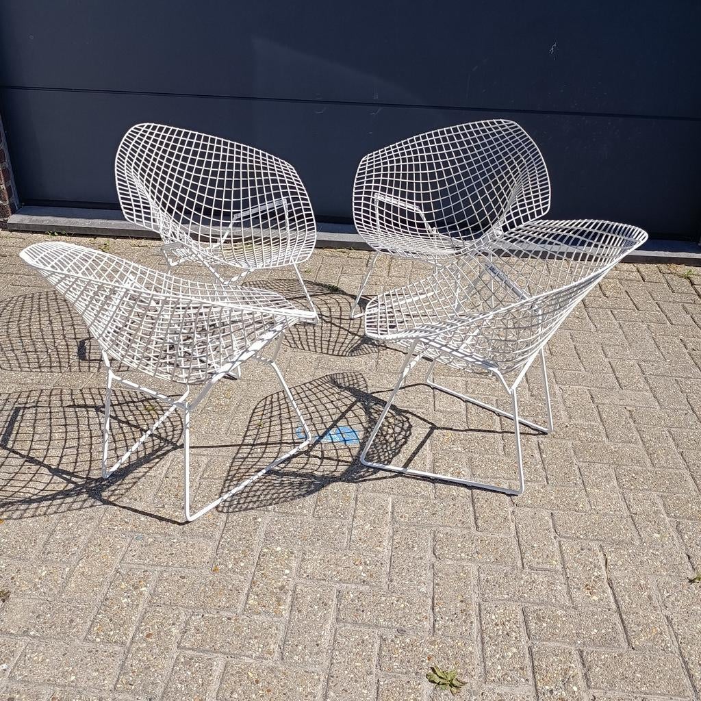 +pcs Harry Bertoia Diamond chair  1970s Knoll international, Ophalen of Verzenden