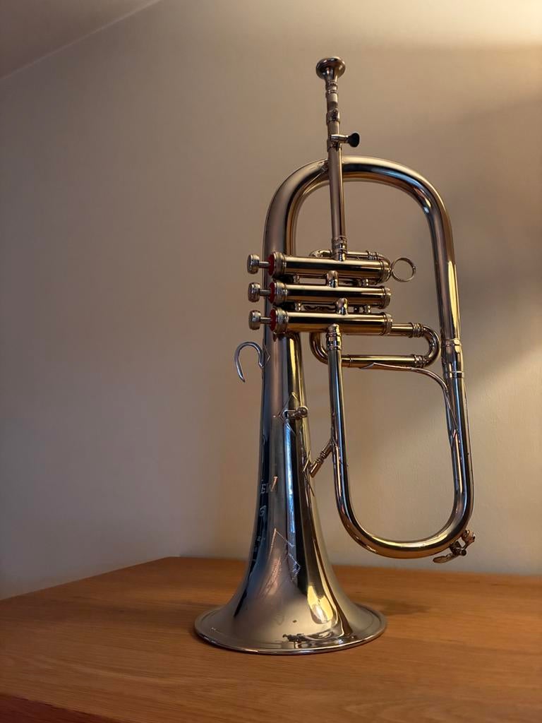 Bugel / flugelhorn The New King te koop, Muziek en Instrumenten, Blaasinstrumenten | Trompetten, Zo goed als nieuw, Ophalen of Verzenden