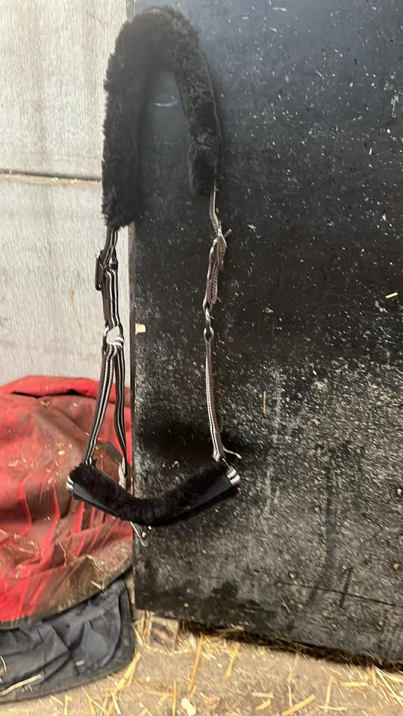 Halster x full, Dieren en Toebehoren, Ophalen, Zo goed als nieuw