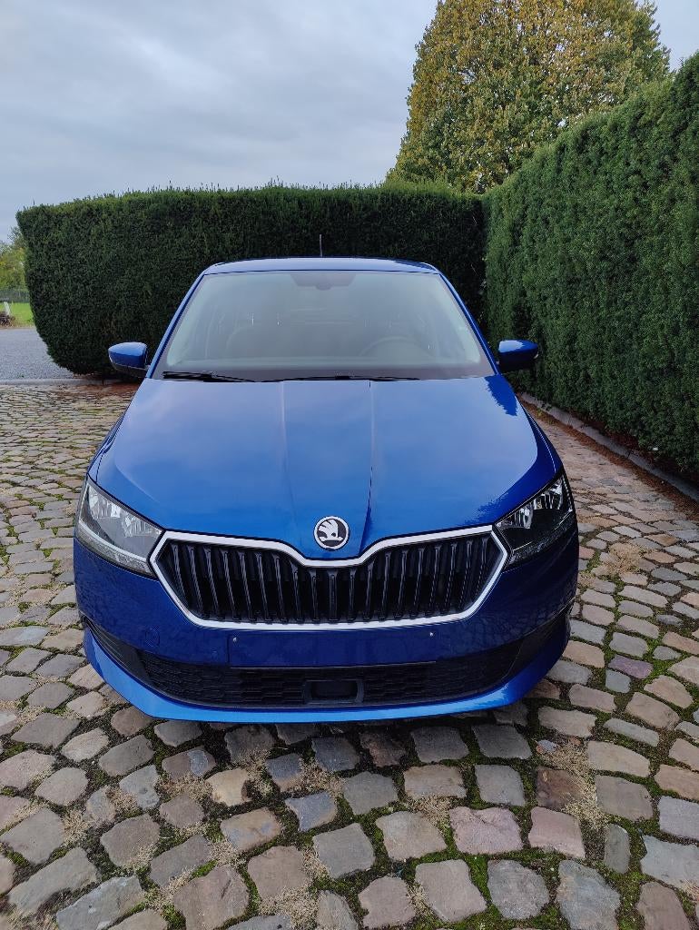 Skoda Fabia 1.0 TSI Ambition, Auto's, Voorwielaandrijving, Stof, Bedrijf, 5 deurs