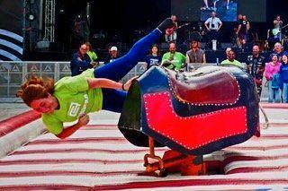 rodeostier  rodeo BULL zie foto's verschillende looks, Verzenden, Zo goed als nieuw